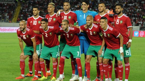 الأسود ينهزمون وديًا أمام المنتخب الغامبي