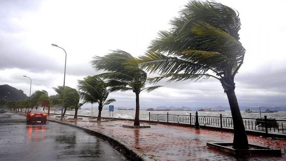 الأرصاد الجوية تنذر برياح وزخات رعدية قوية بهذه المناطق