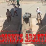 إبراهيم أجداهيم